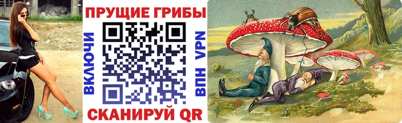 дарк нет наркотические препараты  Орск  Галлюциногенные грибы мухоморы 